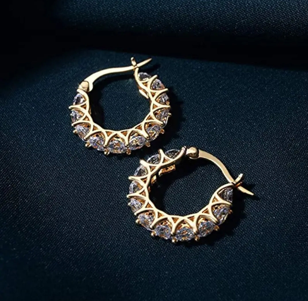 Hoop Earrings